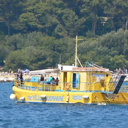 Istarski San Istrian Dream Ferienhaus *